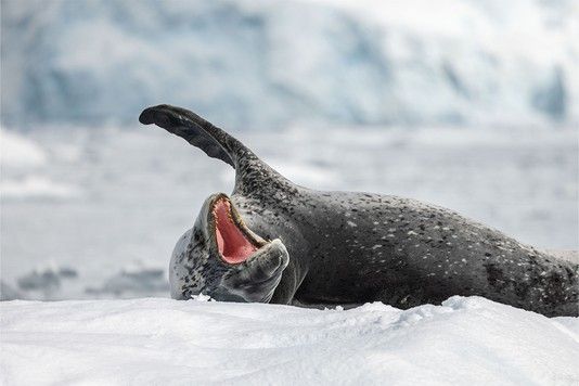 5adbf727395eadd3c90f228371ae3429e4714ed1