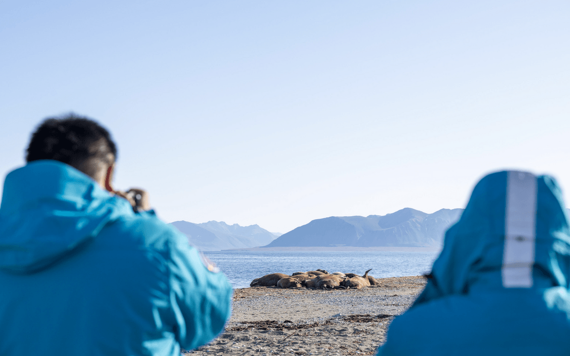 5d91029087b97fd1cff184777afcd26789b426ec