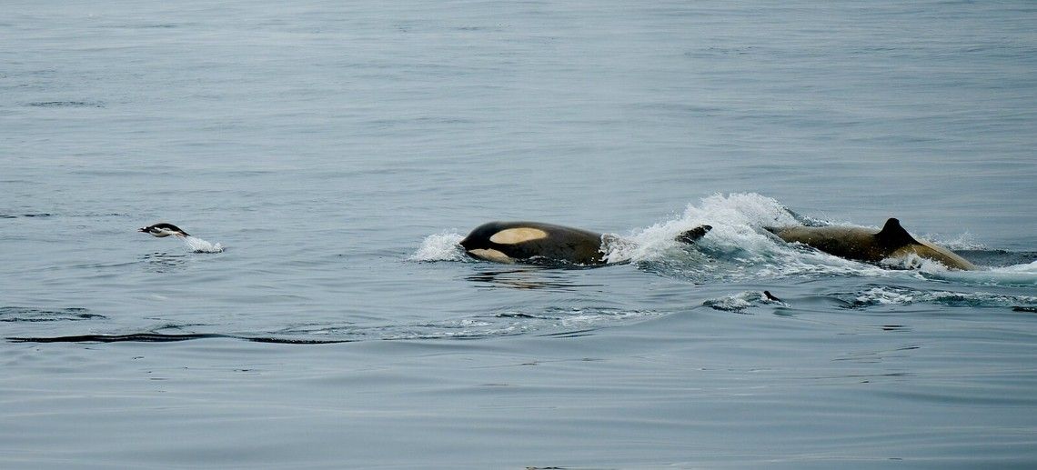 5ee6b9fd3e66486e22b538d36ff131cf6876b2f1