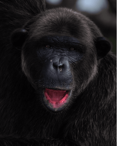 61c2c64cc74332f9c7efadd68f5e23fa0c9dd93b