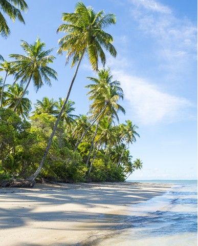 62d6538ca362d7c58706fa1f10d285892f208b5c