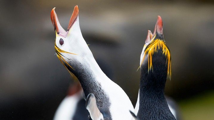 674c416fbd10a0671a4d563d4bc7ca97dceaff30