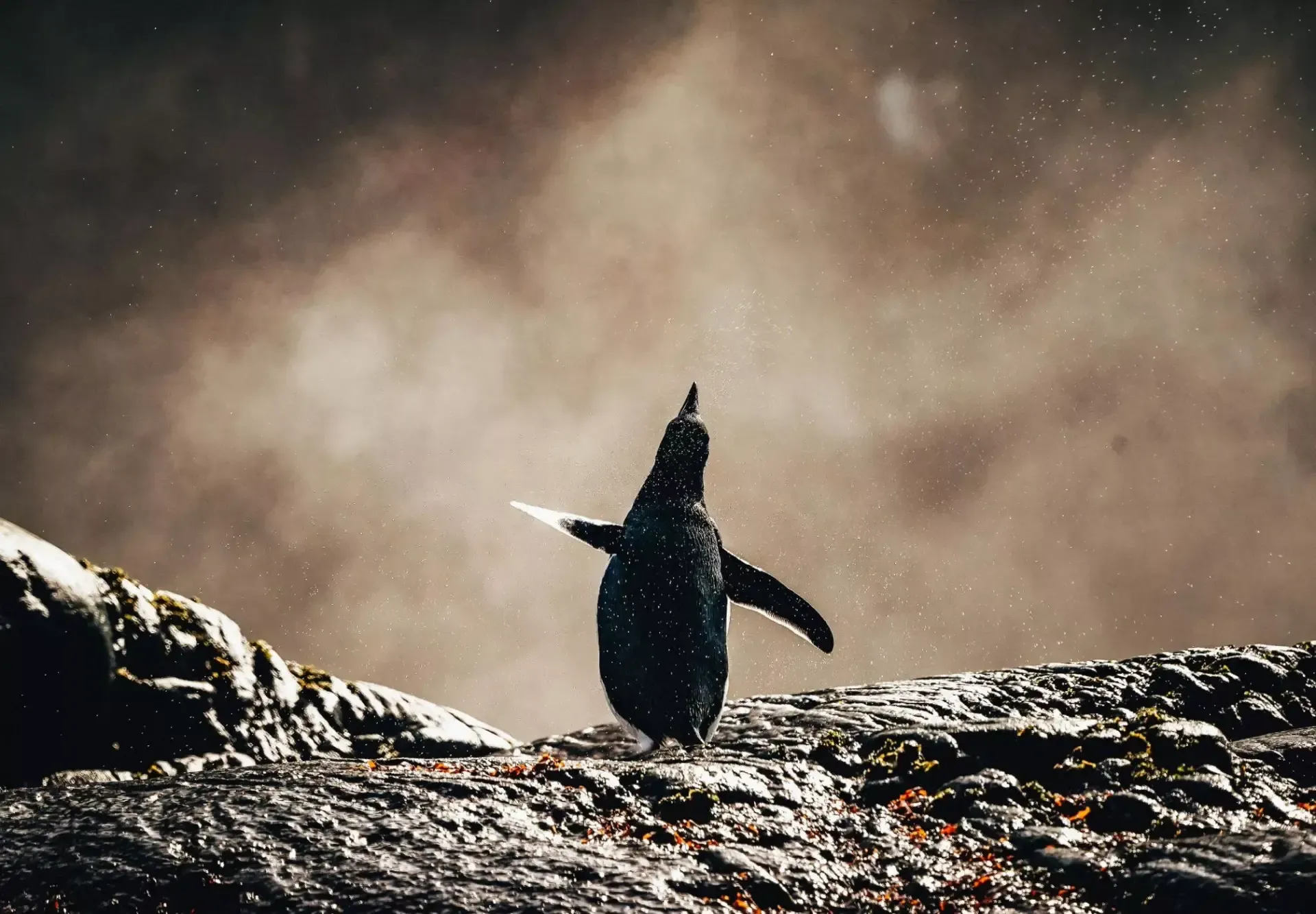 67ea3db14ae1a201fae7afc398b671b4db6585c9