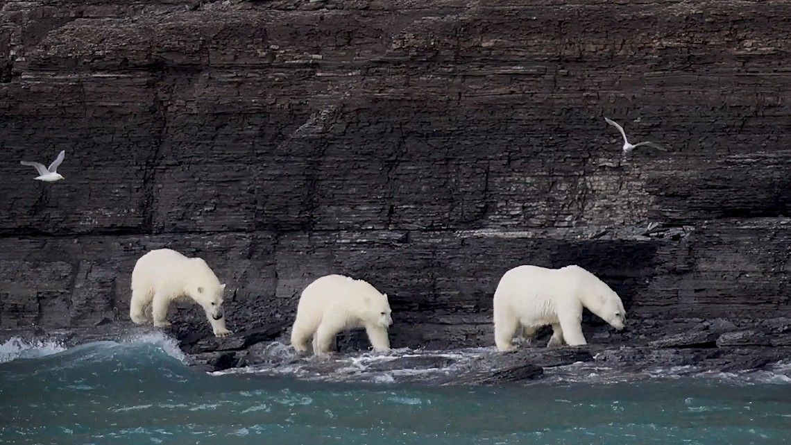 6a4e2eb6854525637a067605955dc2f900aab9db