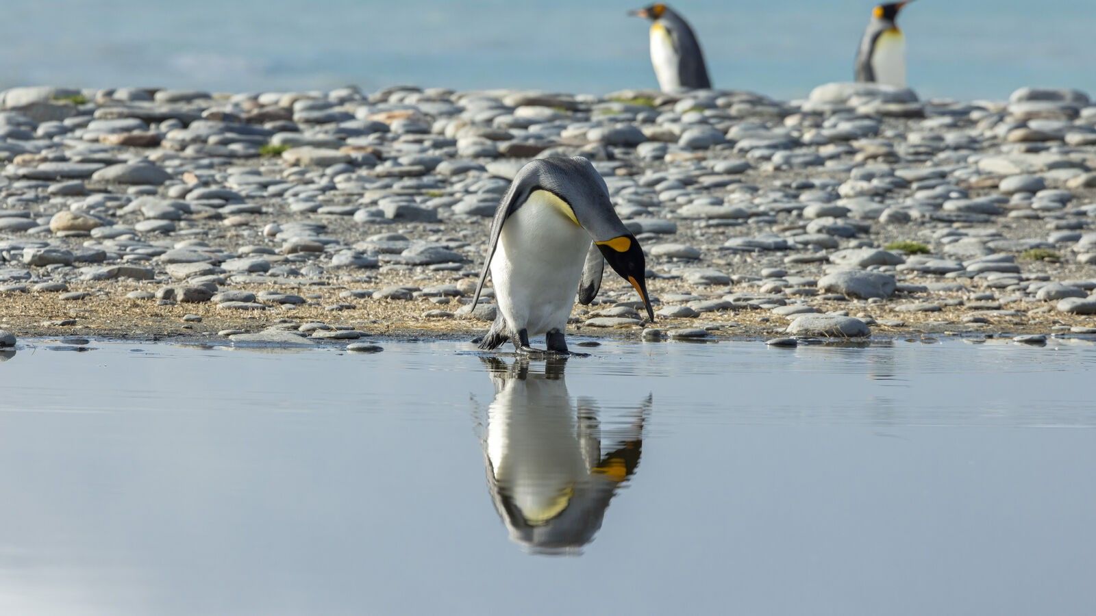 6c5b54deaaa3b1c2064060c448d0f55bc9c820f6