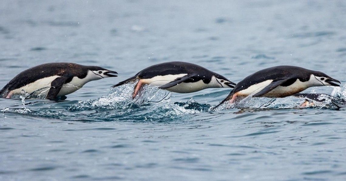 6d43db0bb1d18b3f7d395edd1e660db348ad557f