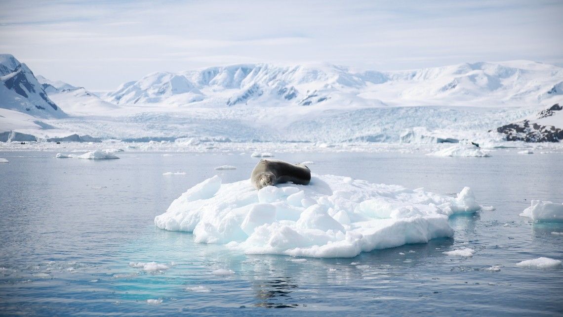 75077f189a1915378ea2872f5324a8b05fe1c038