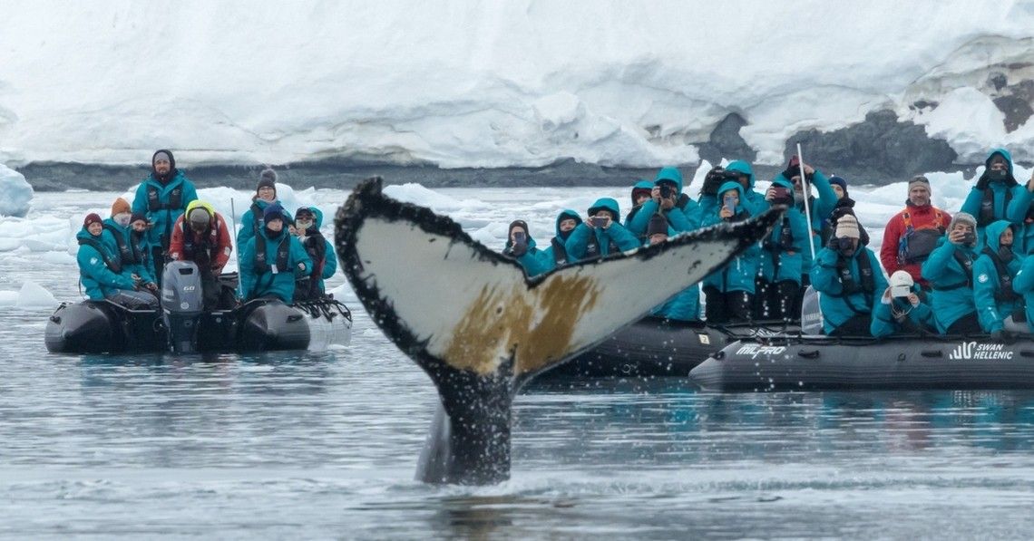 7674748930b18718e8e344ae3da22023ee8b0940