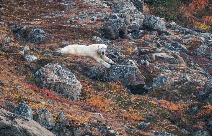 76e5bb55076ce17eebc85741f391a5794b709ff7