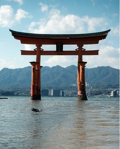 77c17519b747eeb64b819aa7204069f50b2a9da8