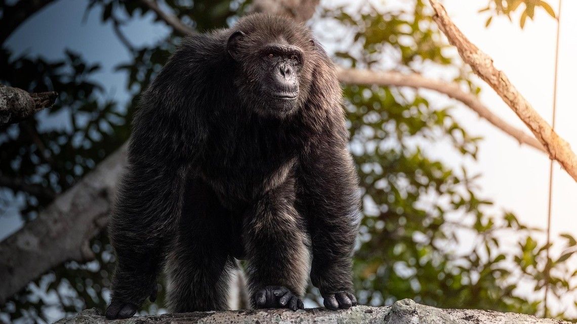 78b06f32053a31c7010126901bbfe01dd3e457a6