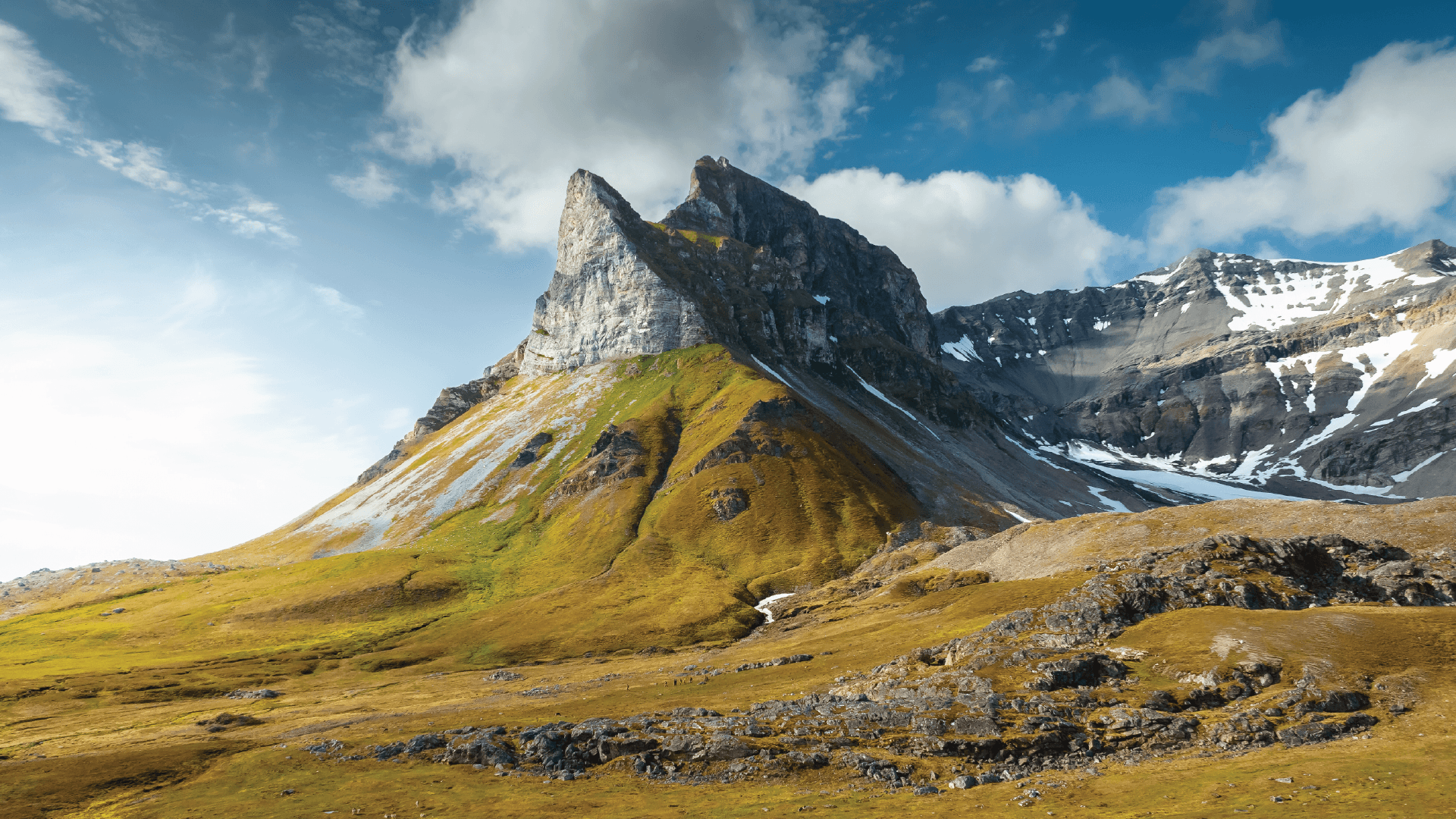 7a61b1ff22097cf3980cee7154afa5fc3befc0cd