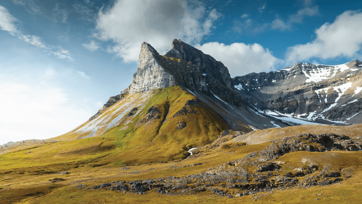 7a61b1ff22097cf3980cee7154afa5fc3befc0cd