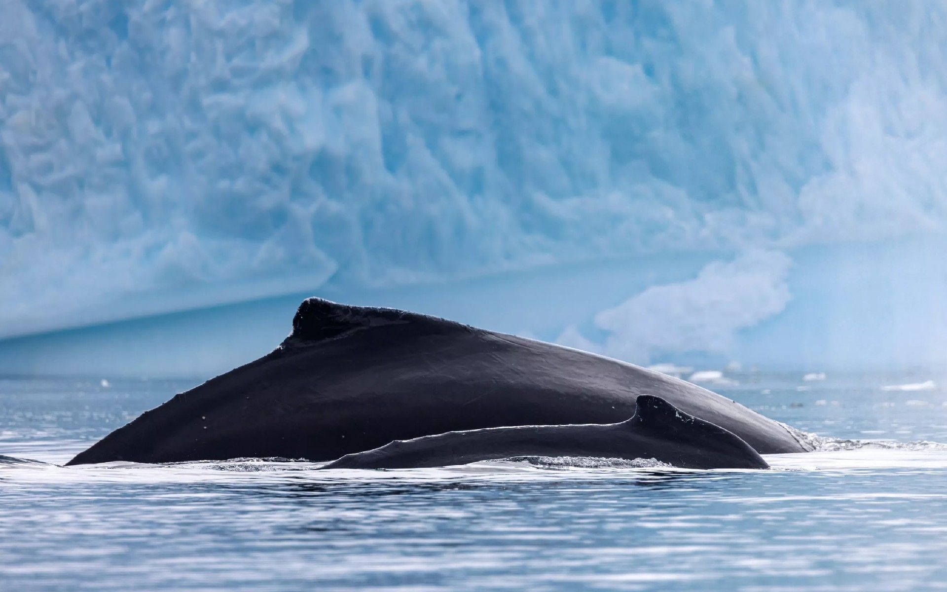 7dfdea7d1cb6854ec1096970532e78babb8ce530