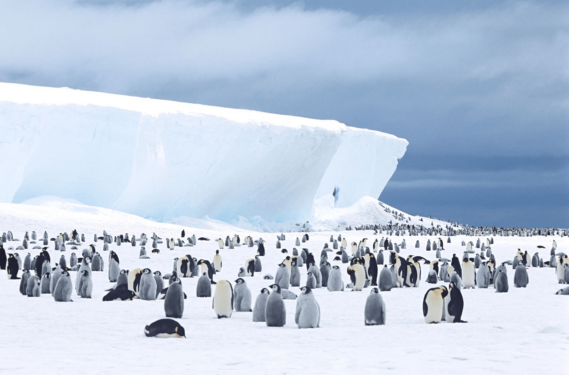 80ce6e7693d7a43b398af27540aefbc0e223e1d2