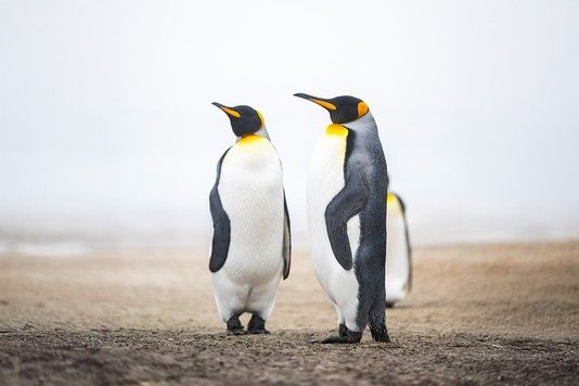 822baa2144c0837025455a466a8969ec778f51e4