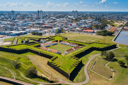 8292e962d8d5bf07eea9543a59384ba2ed516122