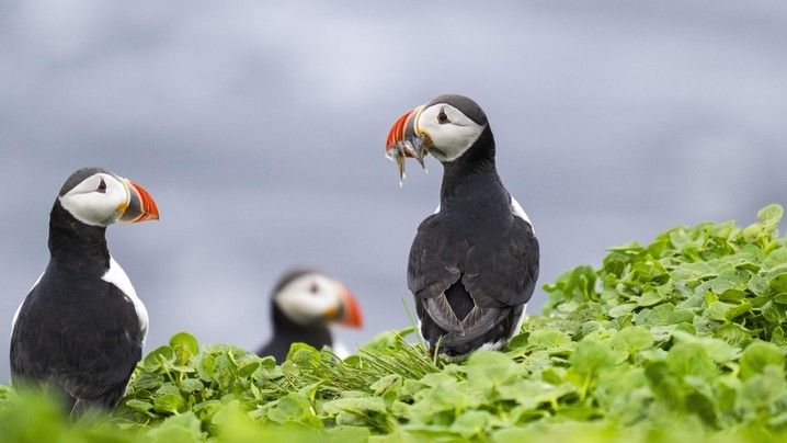 8489c2fbf9d461db86c715393503a0d6b23fb91d