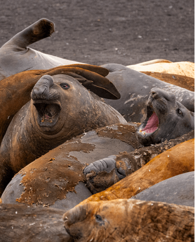 85aef1fb8dbc8b4c5f093430938699aa29e5d7de