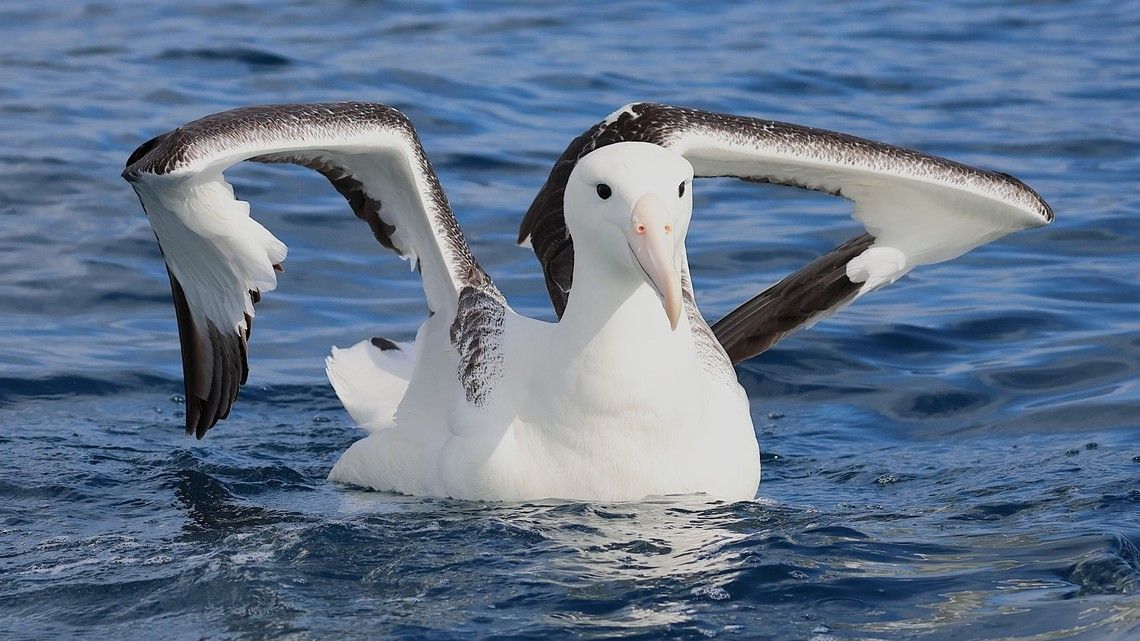 85ecd54ec15b895aedcdbeffe0dc4f7376bf0326