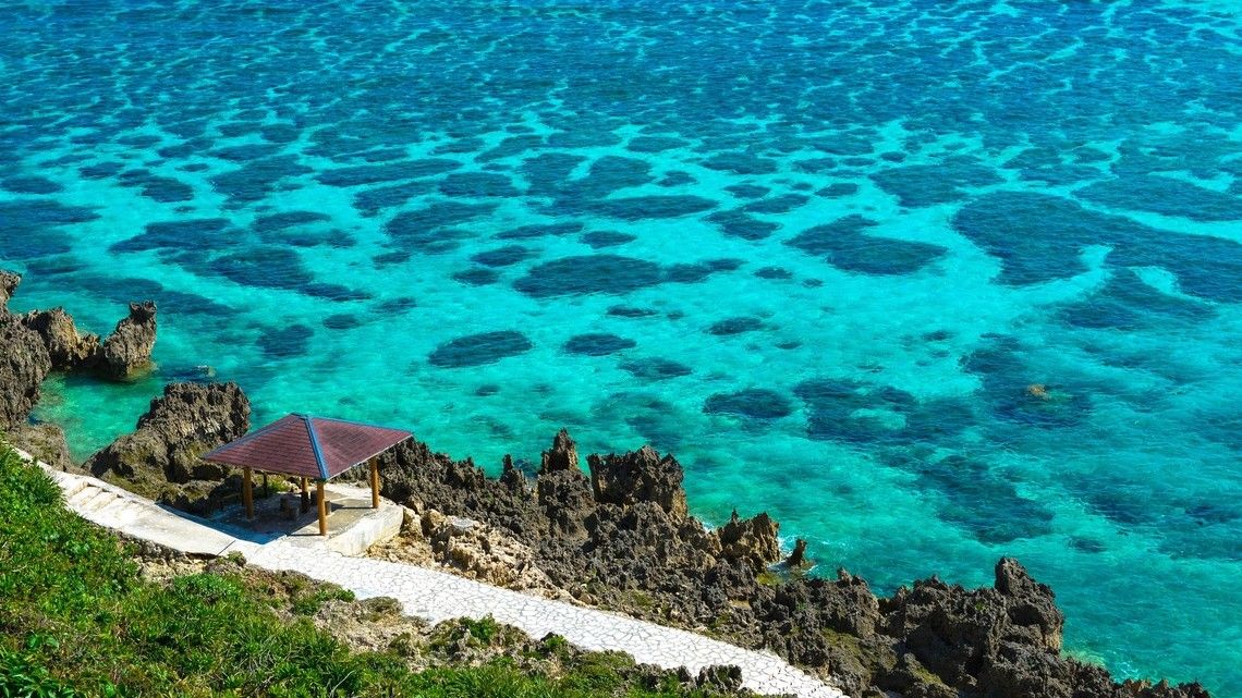 88a0081b0b9969a05dc5d790150dd159ee73a497