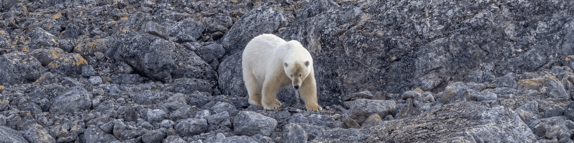 8d28f931636a2ca3e522894eff930d5badeb387d