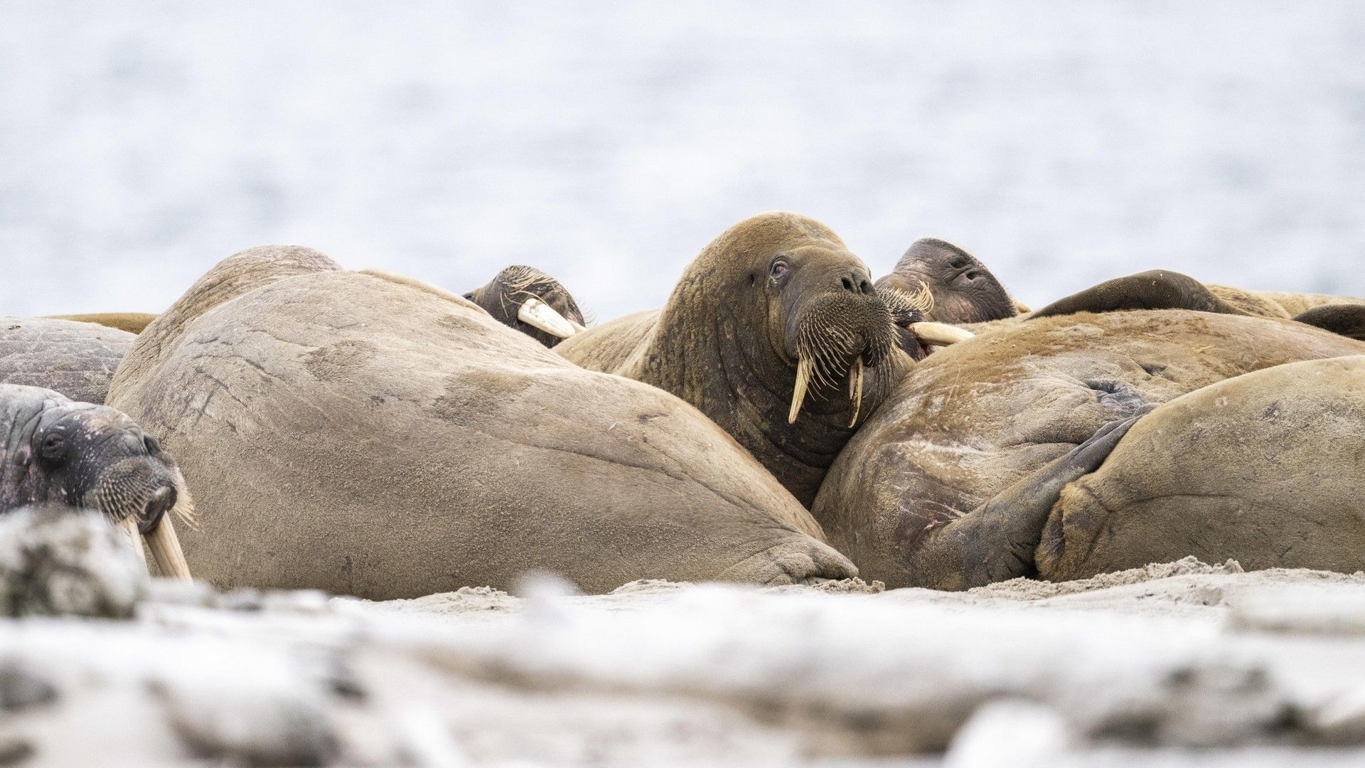 8e265058c915dd2370d036059a6e1c5e59eabc59