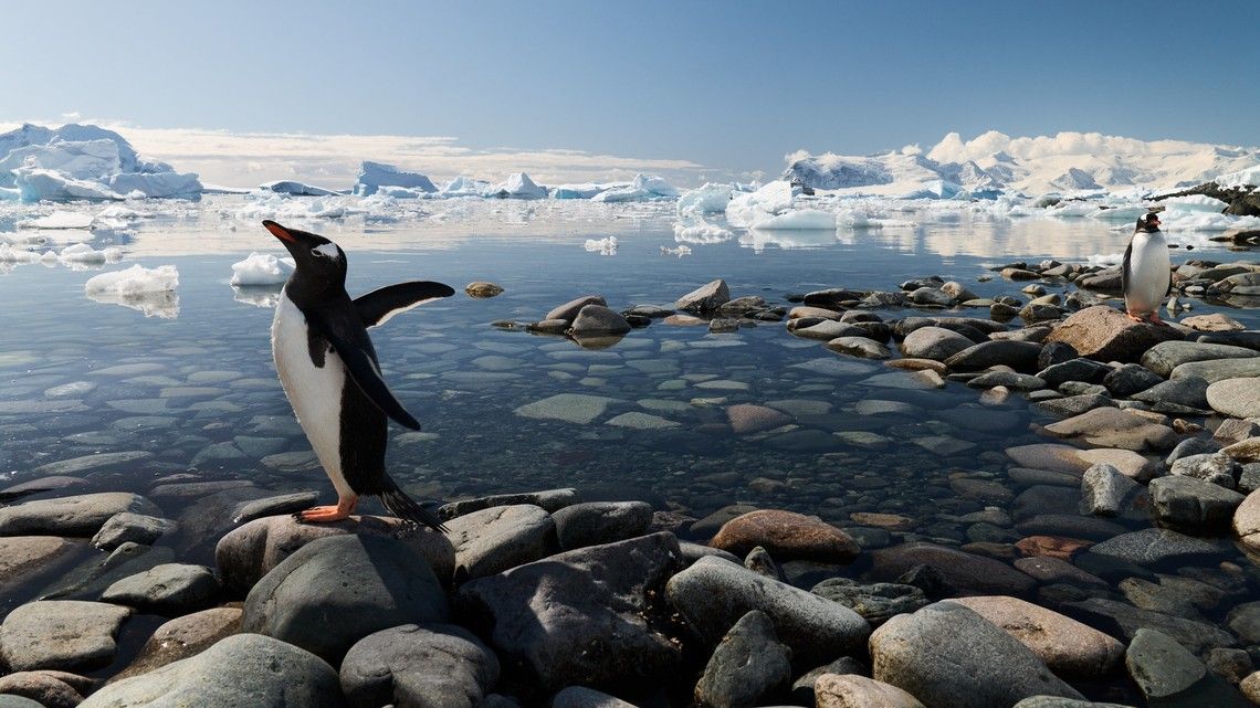 900f62d0e1927d0a7e9c69d4ecacb51f2f95af9d