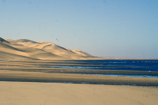 9032c01d47ab082be1d6de336dd57cd125b107ae