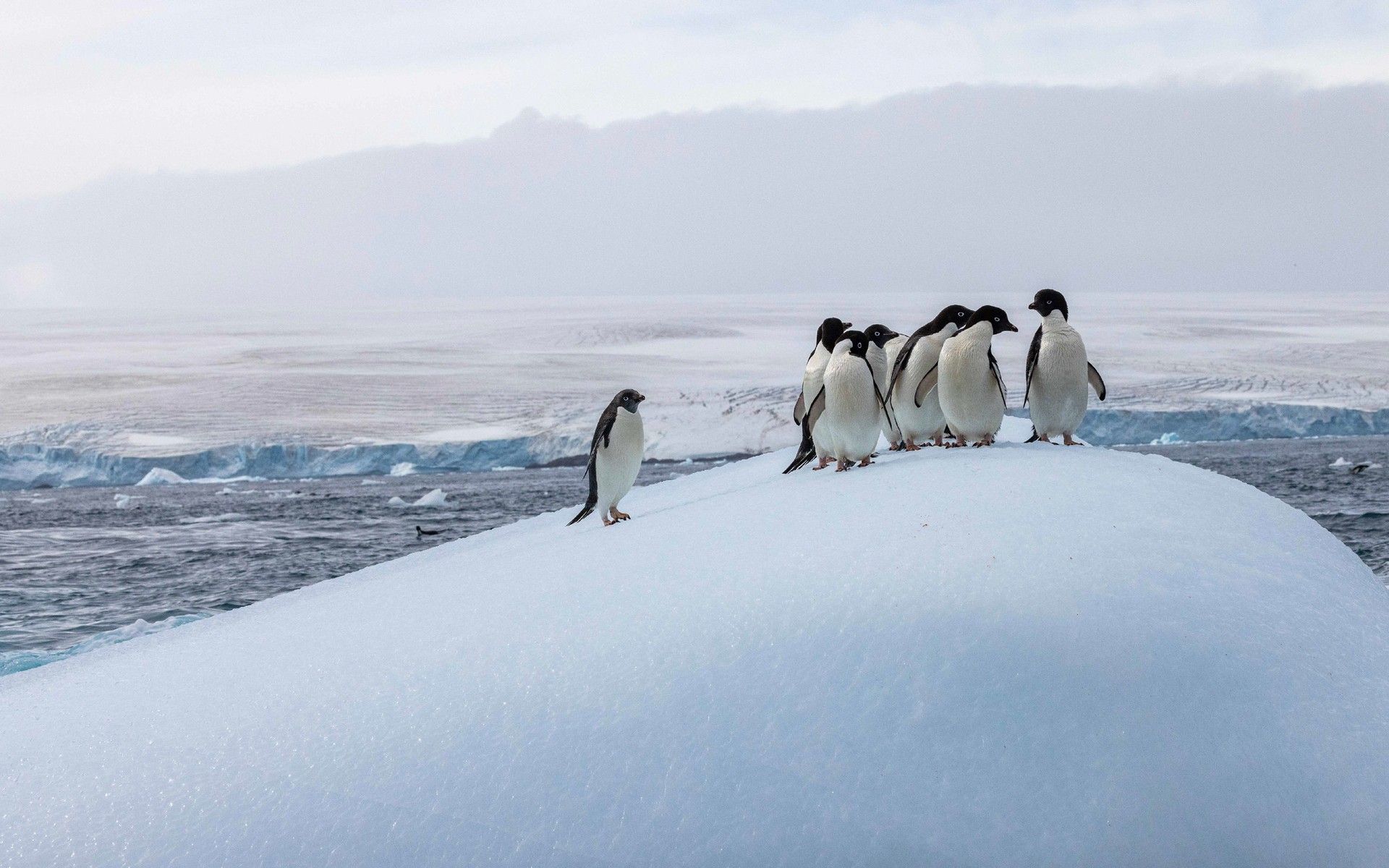 952705978b76f2dbb2d82d08bd8cf9b176f7236f