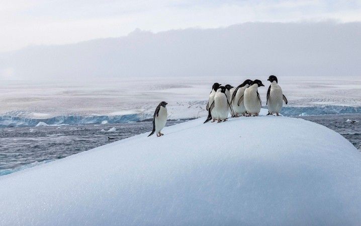 952705978b76f2dbb2d82d08bd8cf9b176f7236f