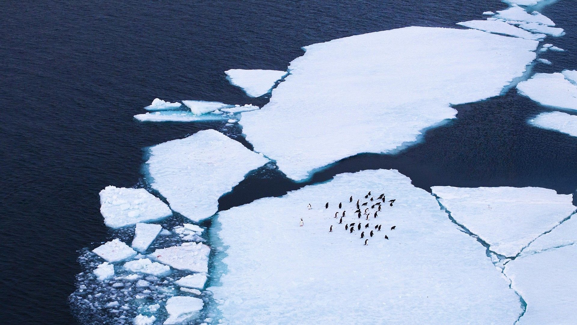 969803ff25075160250ab06390147c8c7f2898e3