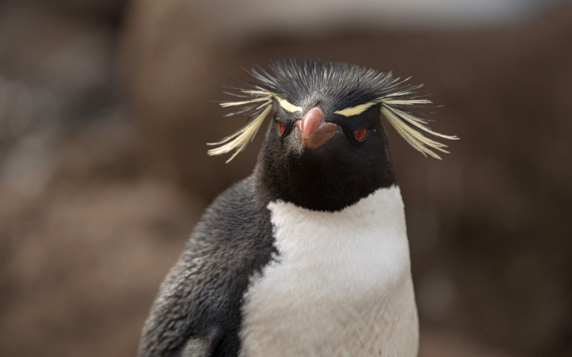 983e1158bca63b7e917a5cdb8111c87cd61e6eed