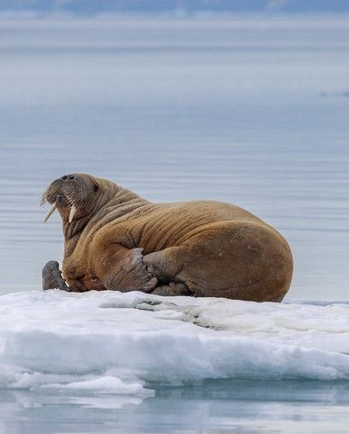 989213691f8f77ad250ebb760cdcec094a05ec6b