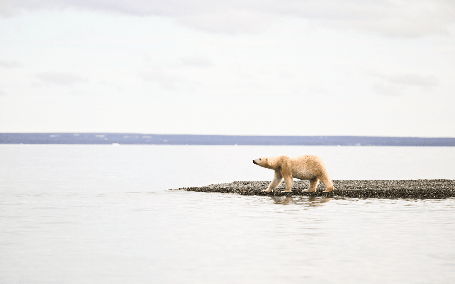 99d0305446d2b5d640e82b0757105516e9acce4e