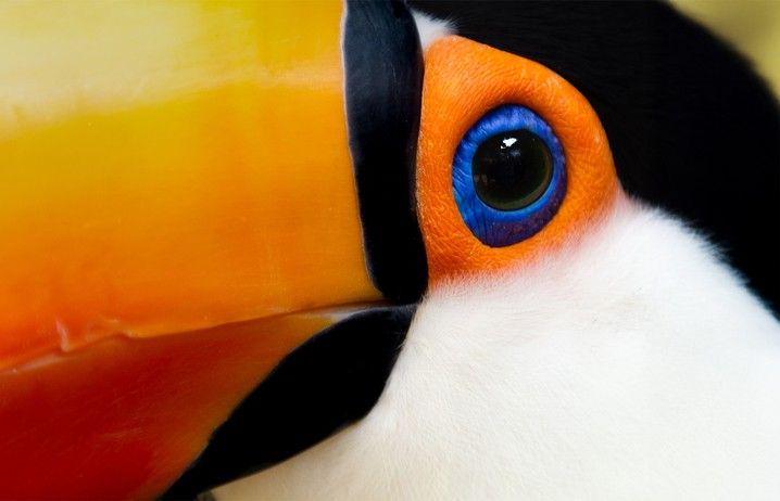 9b8153aa71f0dade782341313e234b0a277d802d