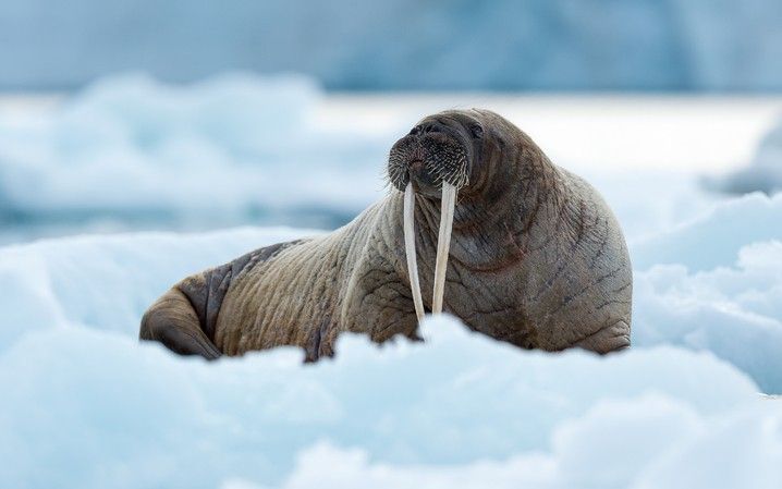 9bd12e534d1ba60bc7536128694261252837d975