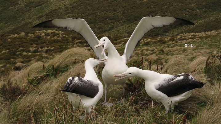 9d64ed7d8d852b276da8c0be2ea19c1493daefcd