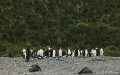 9fb5663177b1a1ef6deb03a8395e904ccb67f1a1