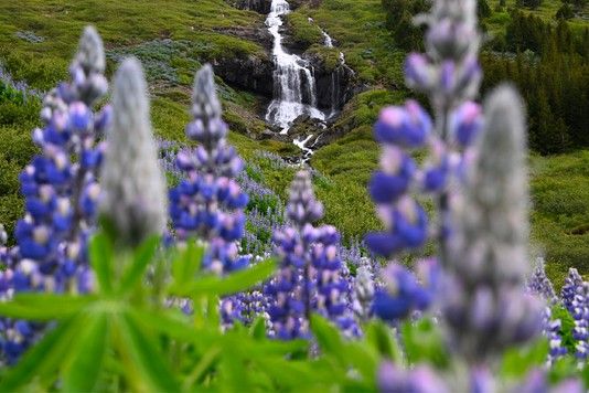 a2f94fb14b461ced5ba27dfcaf946d24fb34d071