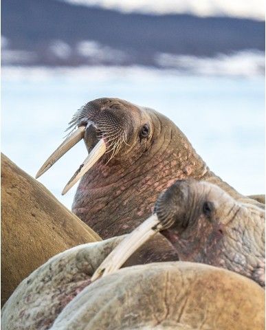 a38530ef2a577a3f478e85e5e8631154df82a05c