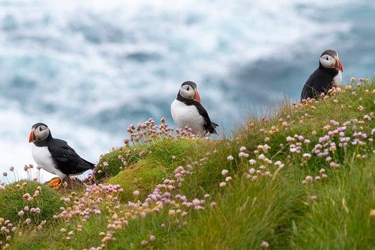 a4378f89441f768e636e79069ff5b9ede9af91e7