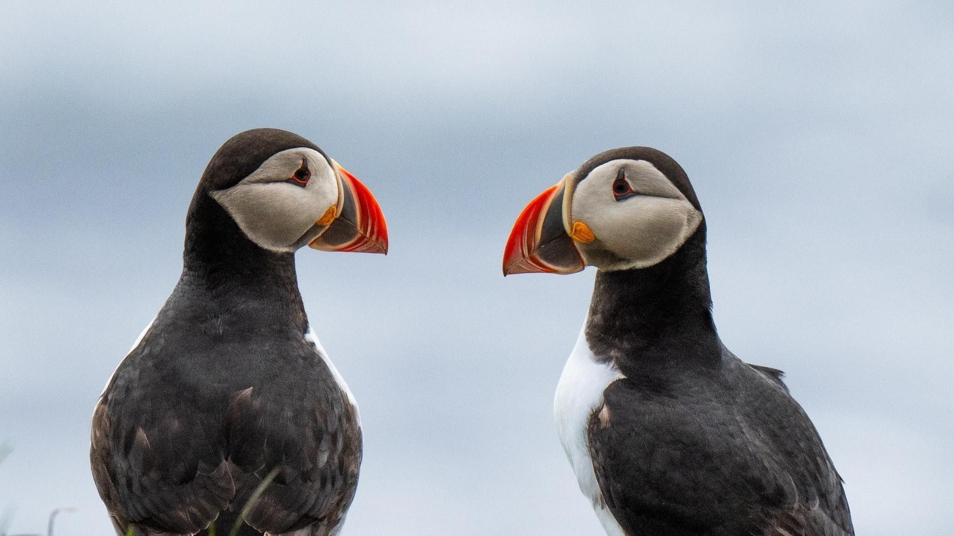 a8159646d3db7f0fc813617192863fa85e4a5e1f