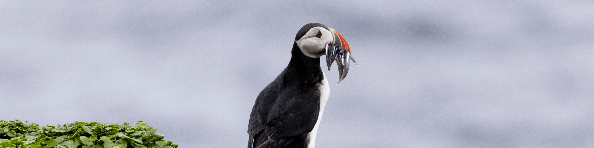 aa997ccb8dfa86414671d5229ef794445b5b2b4c