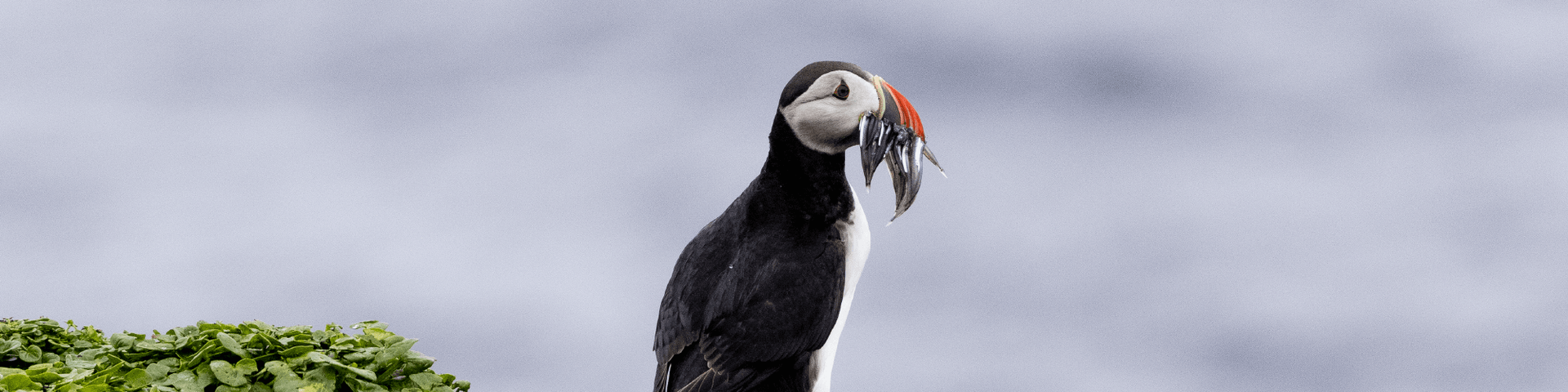 aa997ccb8dfa86414671d5229ef794445b5b2b4c