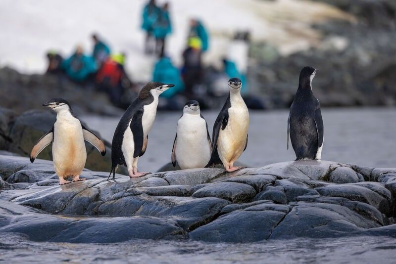 ab8739e69f04e281fa051708c045dcb0facfab4a