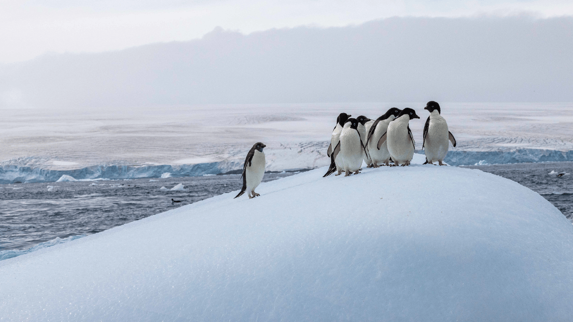 abd01371cb1ccad3489be1215d866ea5faa36a9d