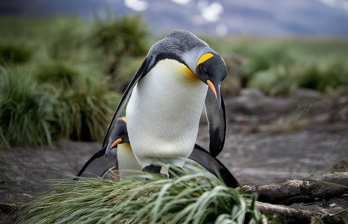 b01c4c3bae997192b242bde6eea8243daea361b0