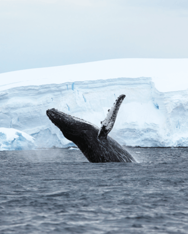 b0c5305956d6022bd66f5f9896db22a0256853c9