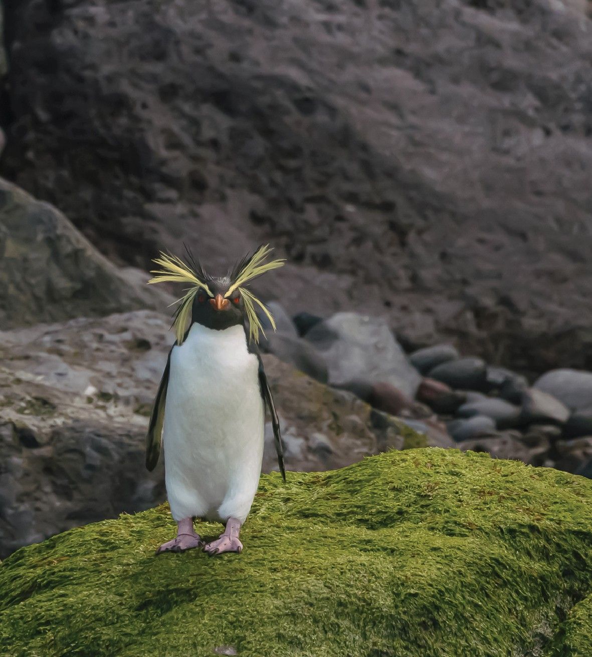 b260055b890a94d396ab4746d621e5e62237a34d